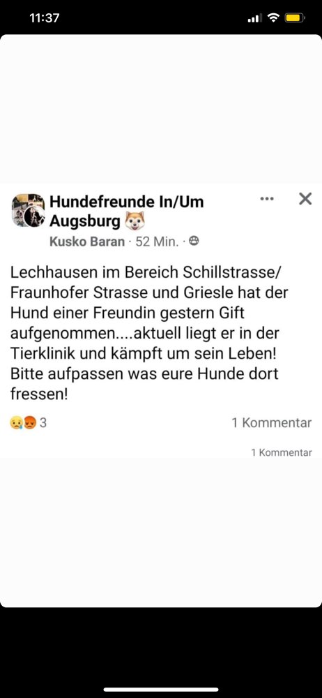 Giftköder-Giftköder-Profilbild