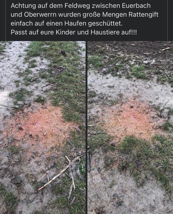 Giftköder-Giftköder / Rattengift-Profilbild