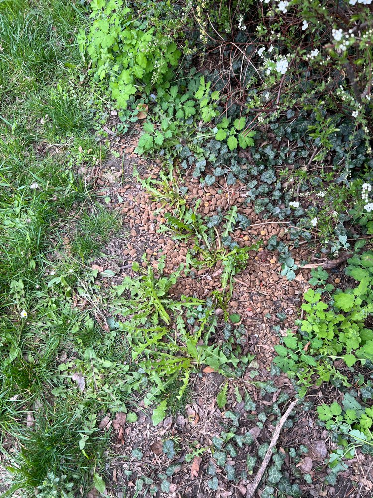 Giftköder-Möglich Giftköder - Trockenfutter-Profilbild