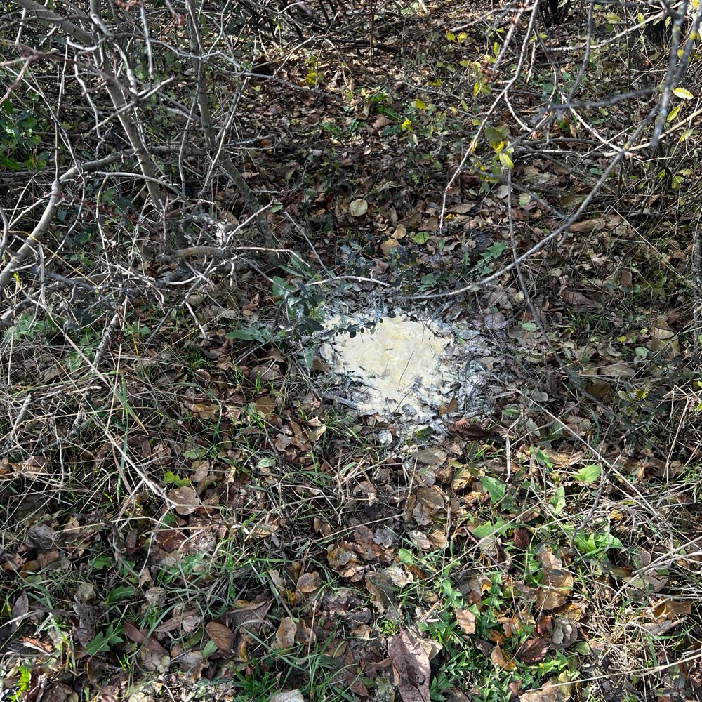 Giftköder-Pulver-Profilbild