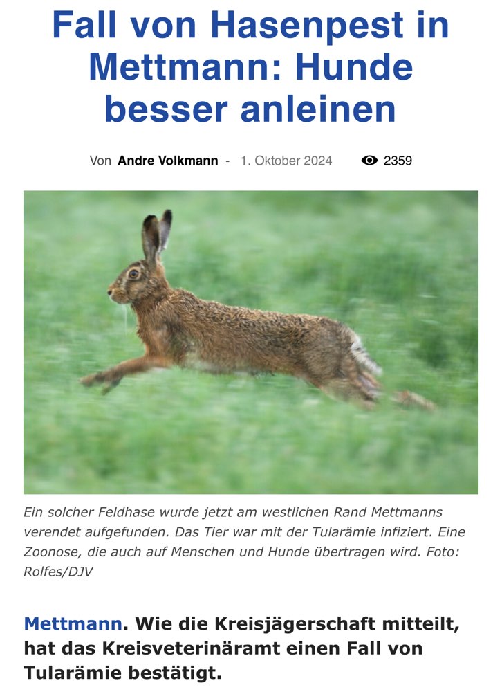 Giftköder-Fall von Hasenpest-Profilbild