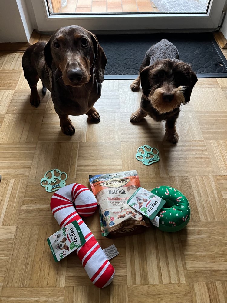 Hundetreffen-Gemeinsame (Trainings)Runden-Profilbild