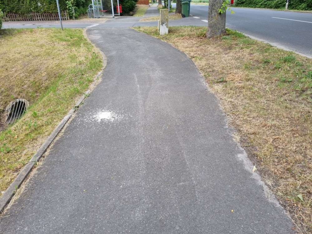 Giftköder-Mögliches Gift-Profilbild