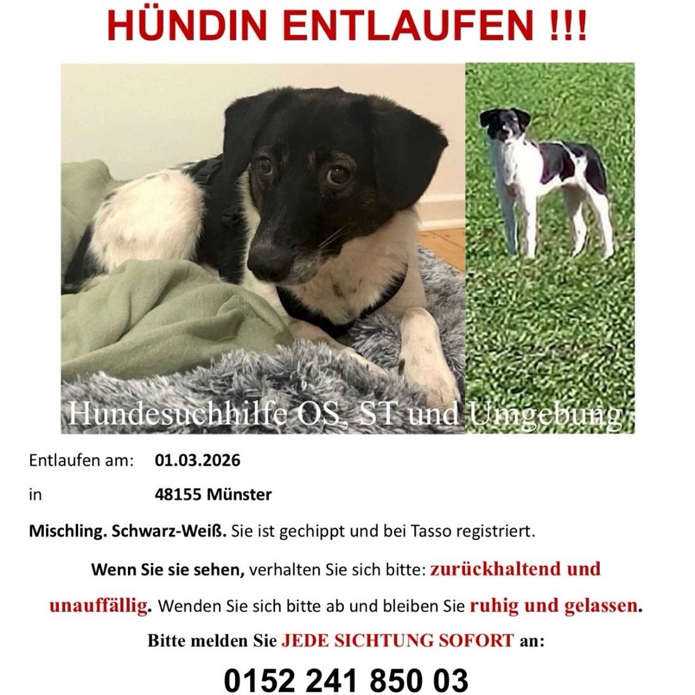 Suchmeldung-Zara-Profilbild