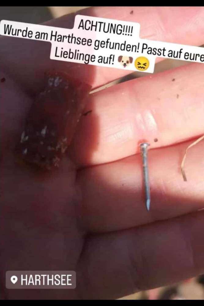 Giftköder-Wurst mit Nagel-Profilbild