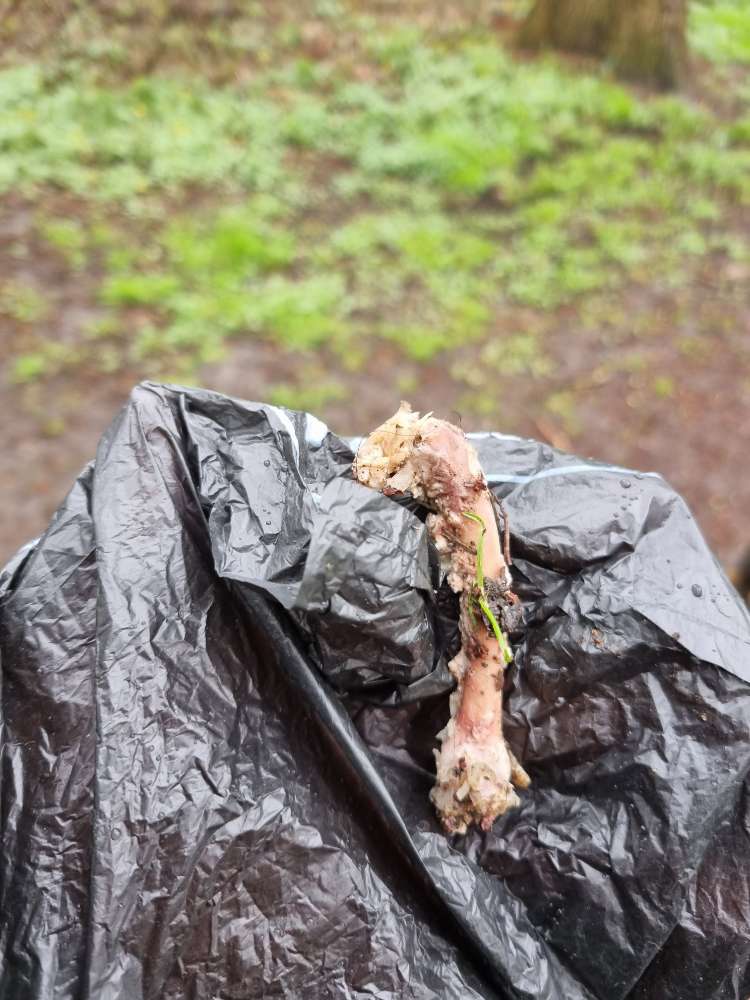 Giftköder-Knochenfund-Profilbild