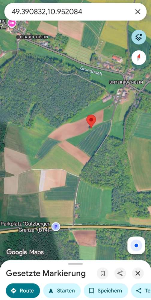 Giftköder-Eichenprozessionsspinner-Profilbild