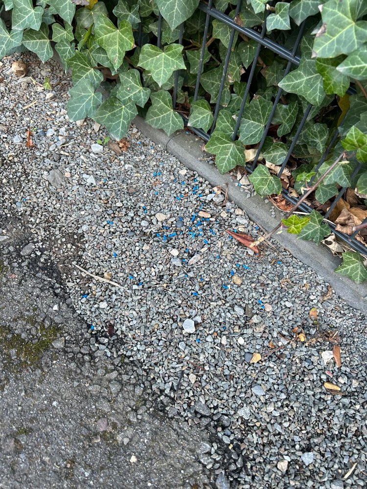 Giftköder-Ggf. Giftköder-Profilbild