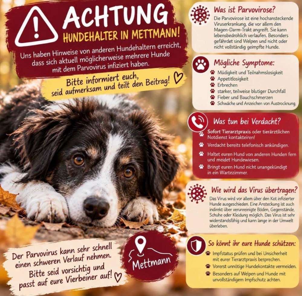 Giftköder-Parvovirus Kreis Mettmann-Profilbild