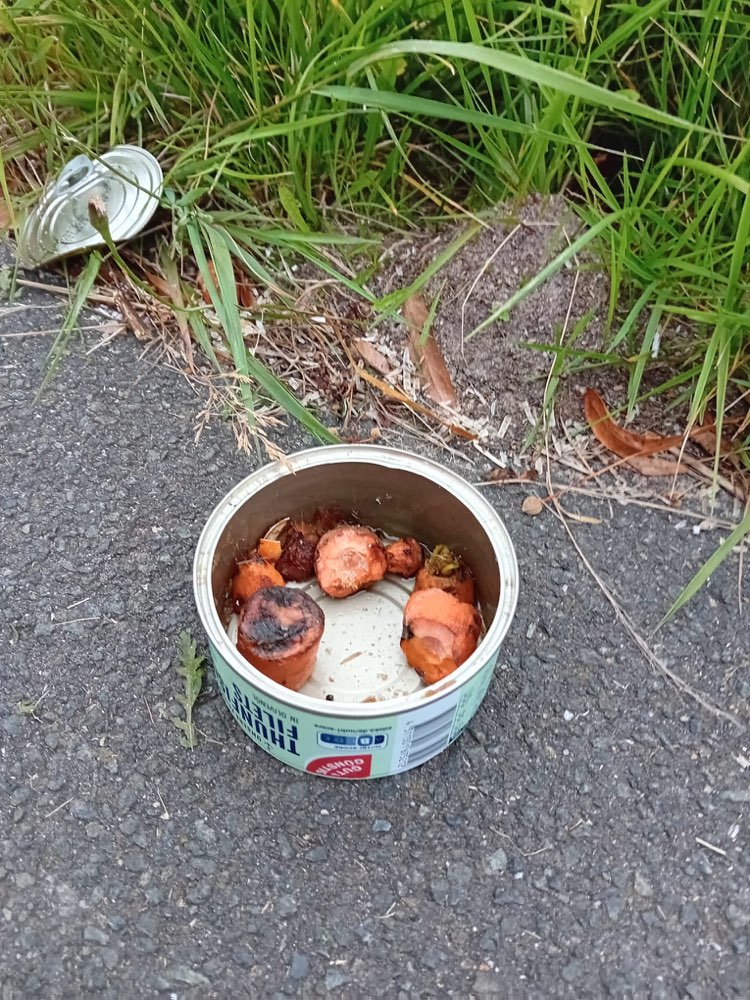 Giftköder-Giftköder-Profilbild