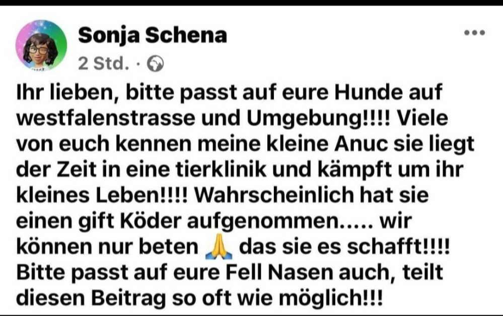 Giftköder-Evtl. Giftköder-Profilbild