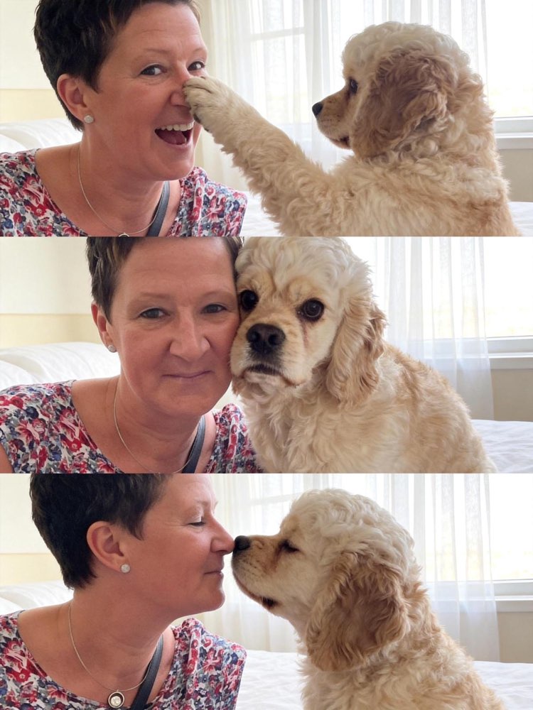 Hundetreffen-Spielen mit anderen tollen Hunden-Profilbild