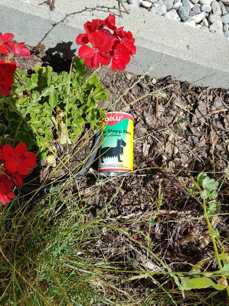 Giftköder-Dose 'Hunde-Stopp', evtl giftiger Inhalt-Profilbild
