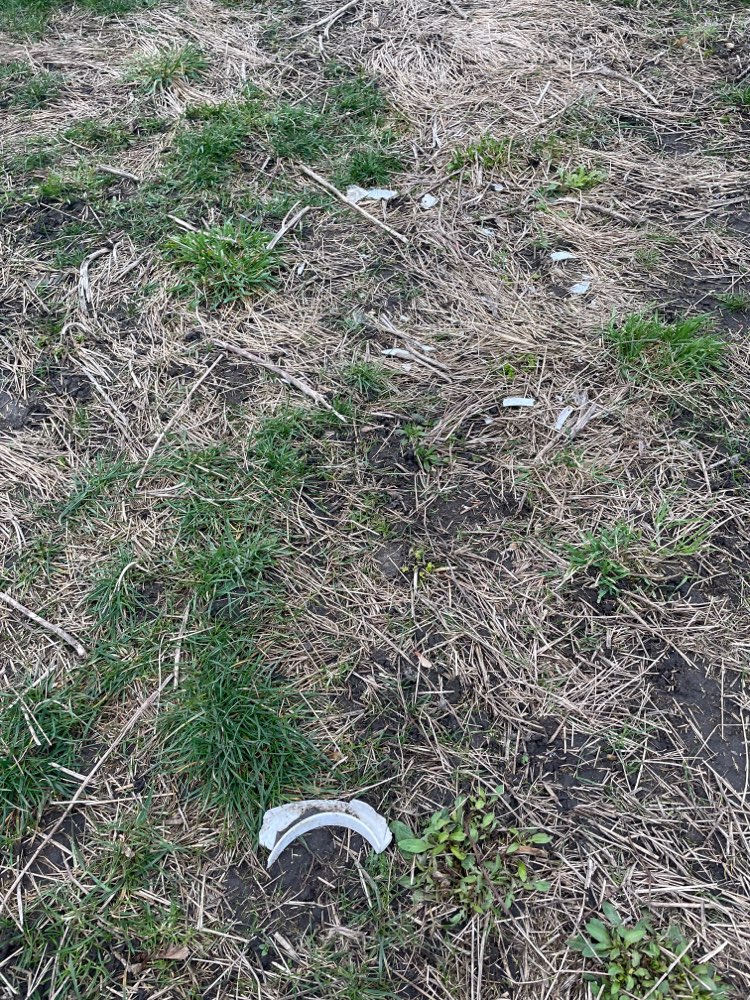 Giftköder-Achtung Keramik Splitter in der Wiese-Profilbild
