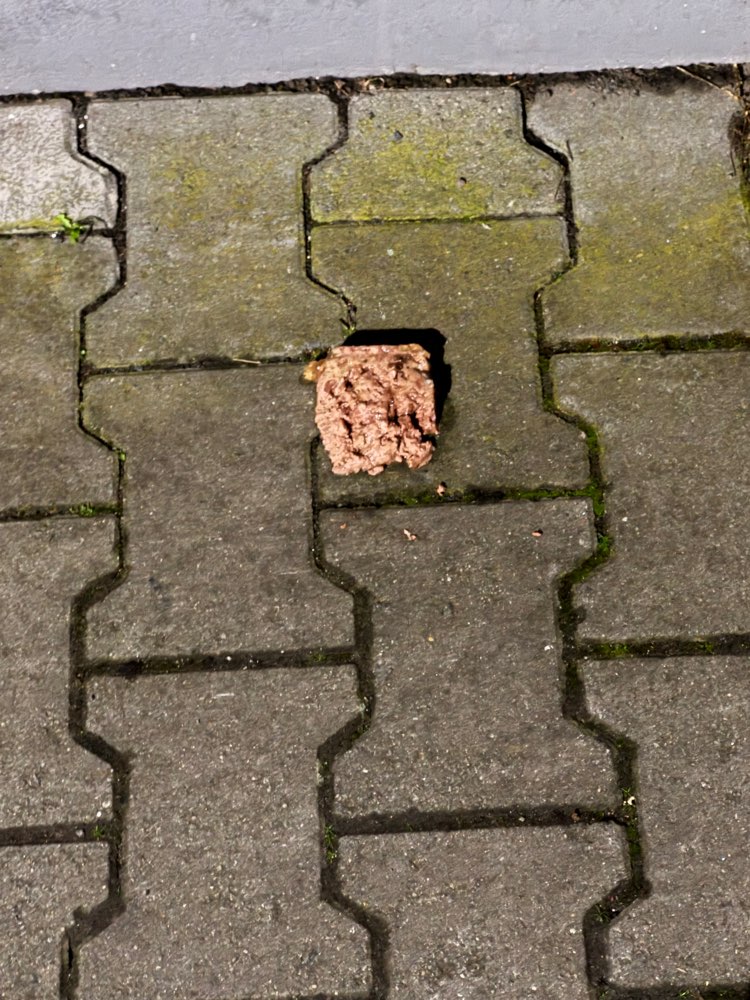 Giftköder-Evtl. Köder-Profilbild