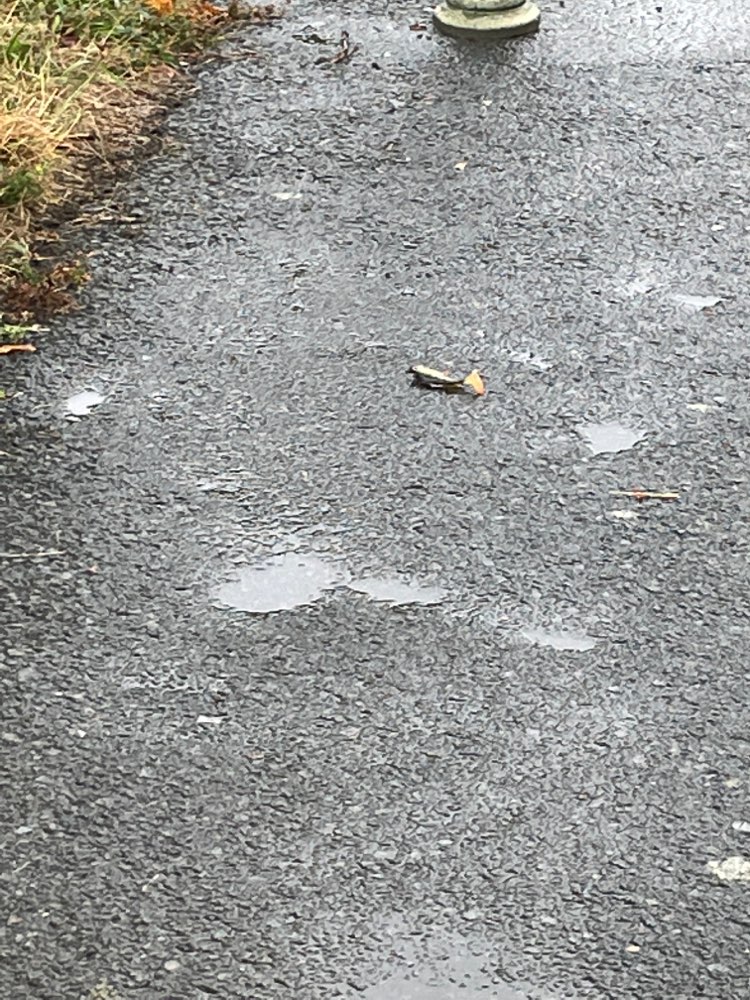 Giftköder-Fisch mit Haken-Profilbild