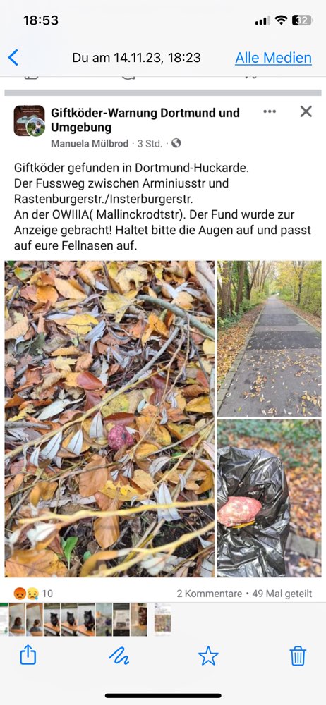 Giftköder-Giftköder-Profilbild