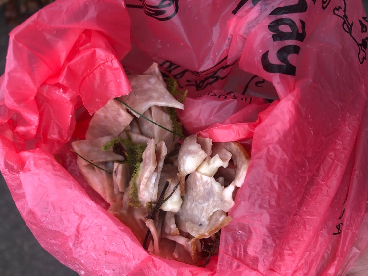 Giftköder-Wurststückchen-Profilbild