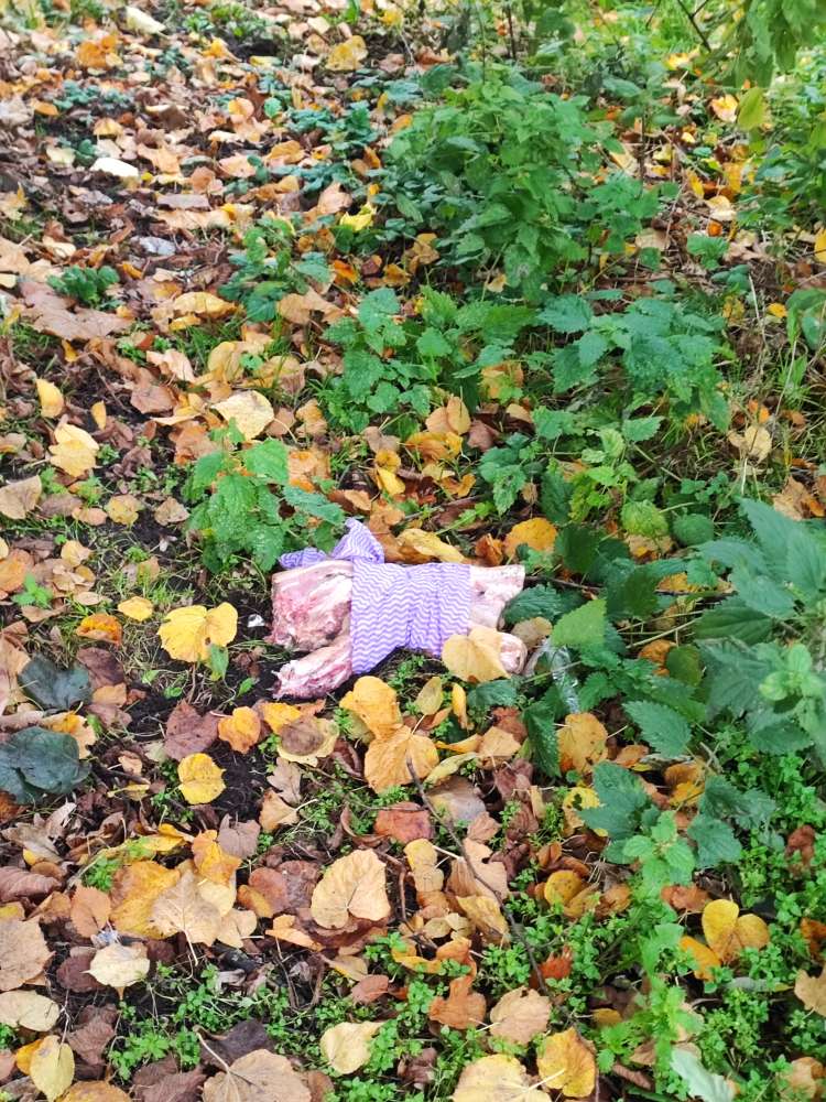 Giftköder-Giftköder-Profilbild