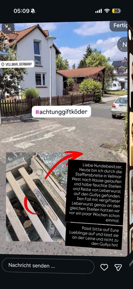 Giftköder-Giftköder auf Gullideckeln-Profilbild