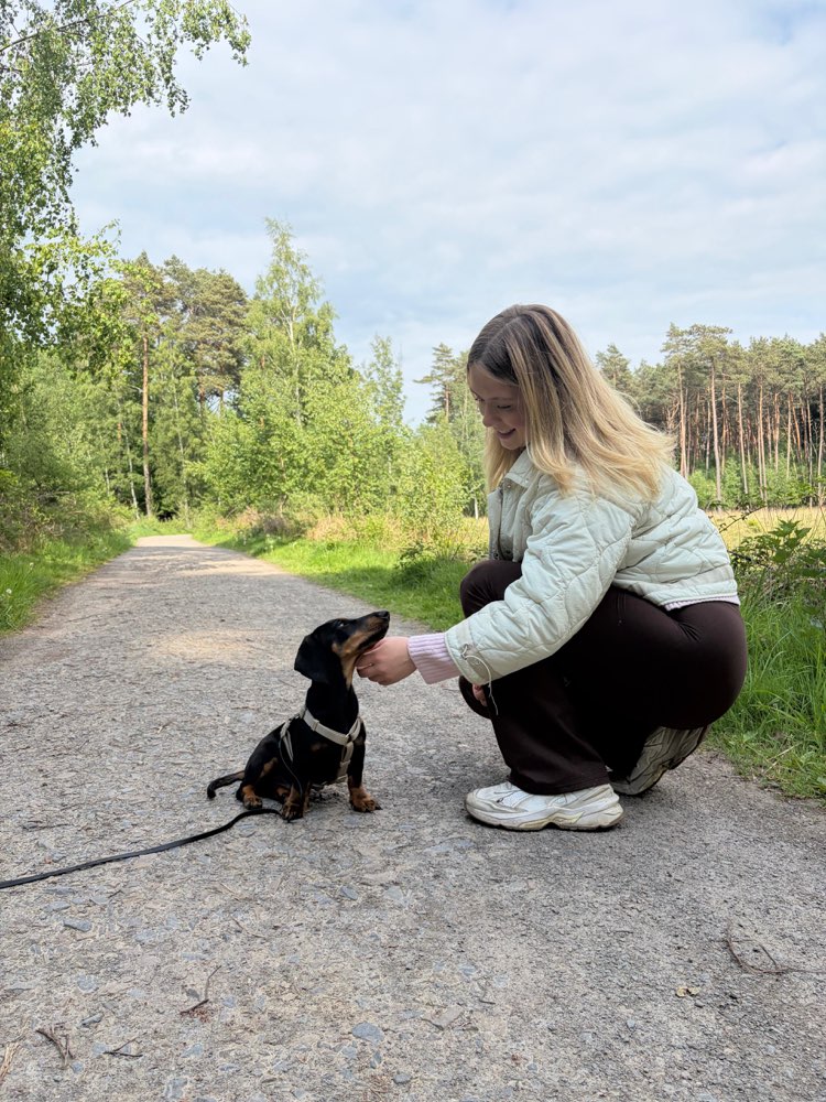 Hundetreffen-Welpentreffen-Profilbild