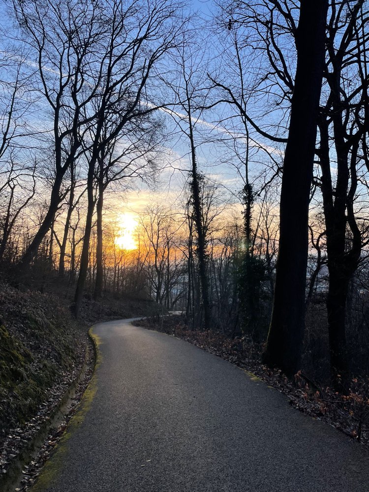 Hundetreffen-Social Walk in Heidelberg-Profilbild