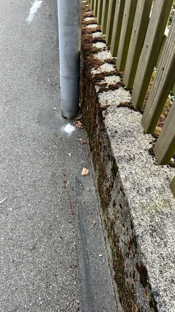 Giftköder-Weisses Pulver gestreut-Profilbild