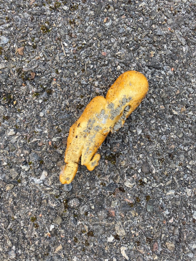 Giftköder-Wahrscheinlich Giftköder!!!!-Profilbild