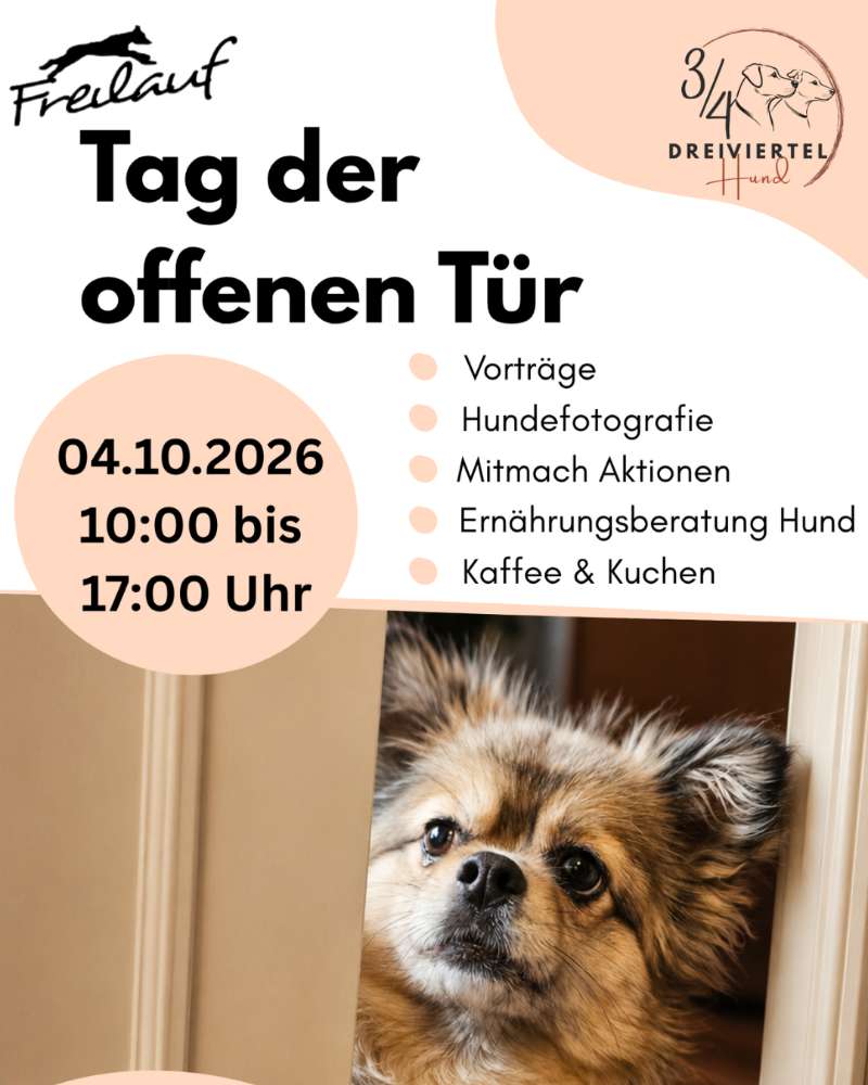 Hundetreffen-Tag der offenen Tür-Profilbild