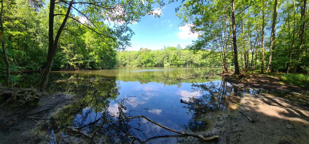 Giftköder-Blaualgen-Profilbild
