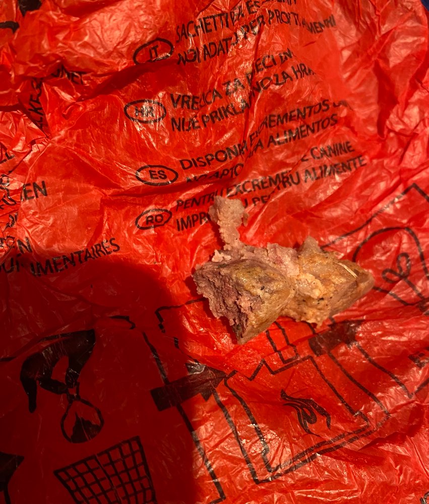 Giftköder-Vielleicht Giftköder-Profilbild