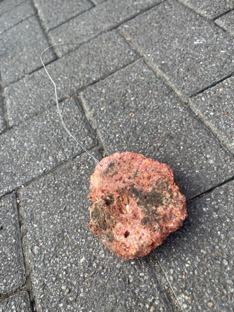 Giftköder-Giftköder-Profilbild