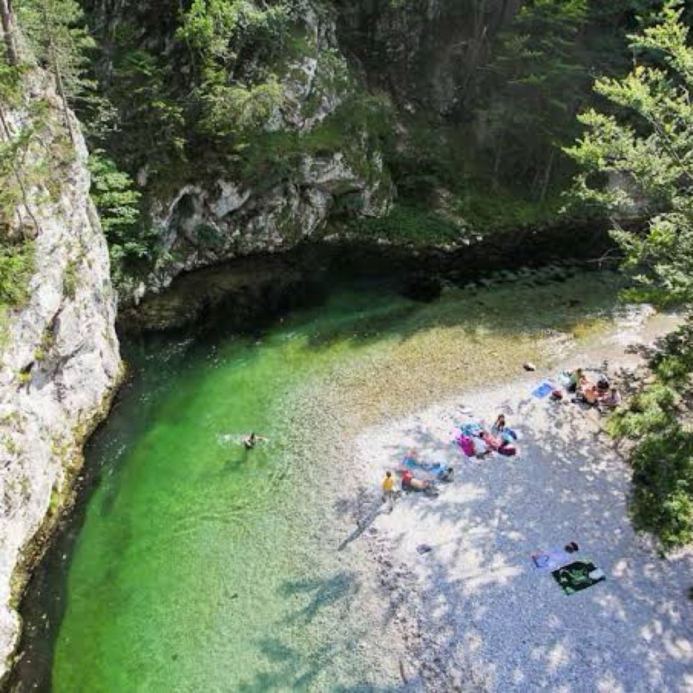 Hundetreffen-Schwimmen mit Hund im Höllenthal-Profilbild