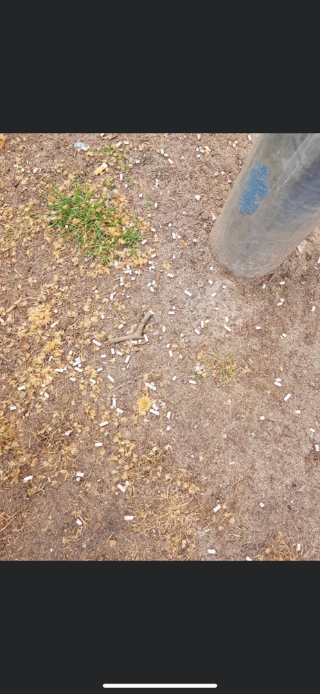 Giftköder-Erneut Gift verstreut-Profilbild