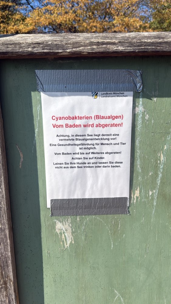 Giftköder-VORSICHT BLAUALGEN HEIMSTETTENER SEE!!!!-Profilbild