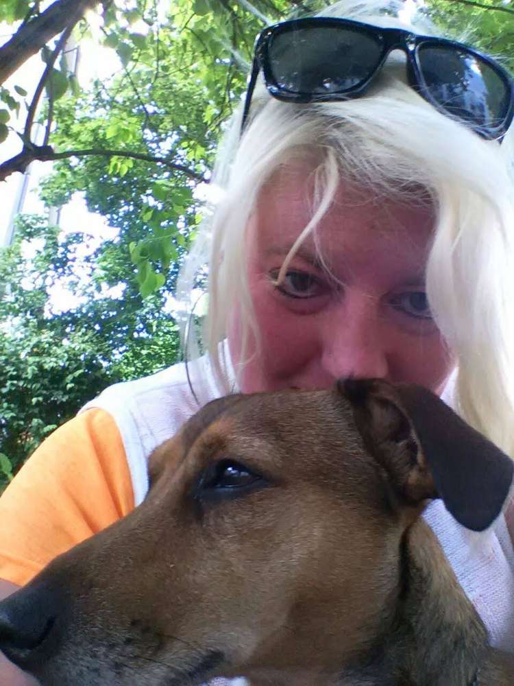 Hundetreffen-Suchen Jack Russel Freund/in zum spielen-Profilbild