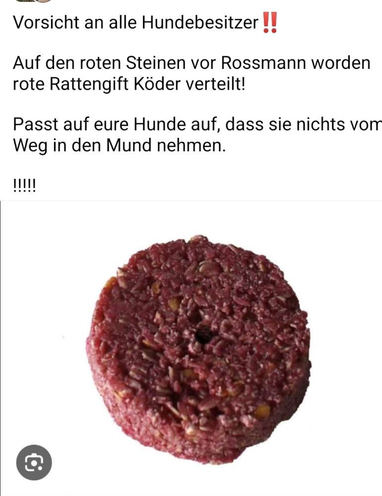 Giftköder-Giftköder-Profilbild