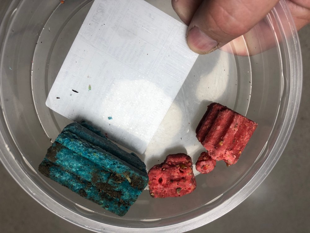 Giftköder-Giftköder in Blockform-Profilbild