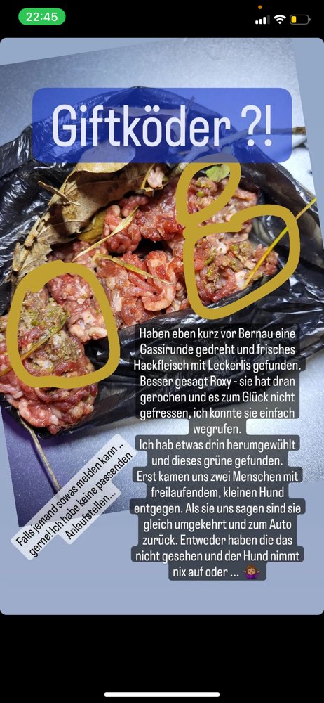 Giftköder-Giftköder-Profilbild