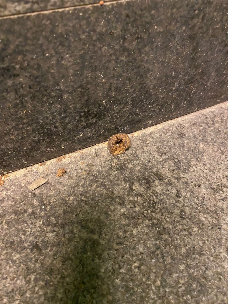 Giftköder-Verstreutes Hundefutter-Profilbild