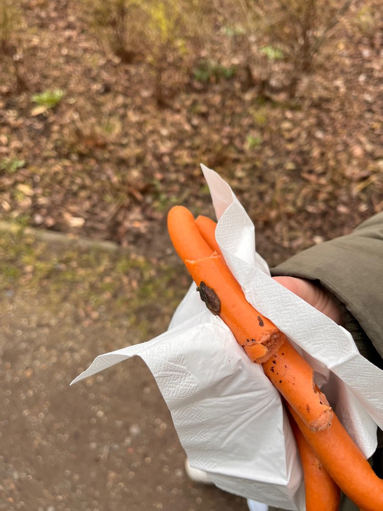 Giftköder-Verdächtige Würstchenabschnitte-Profilbild