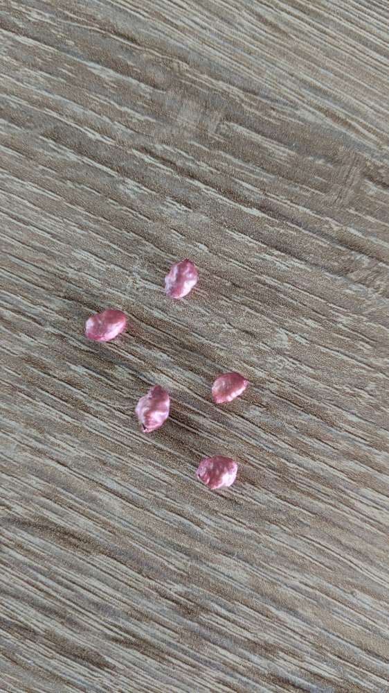 Giftköder-Kleine rose Kügelchen!-Profilbild