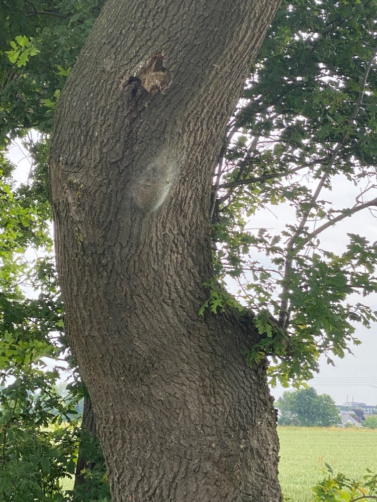 Giftköder-EPS in Südkamen-Profilbild