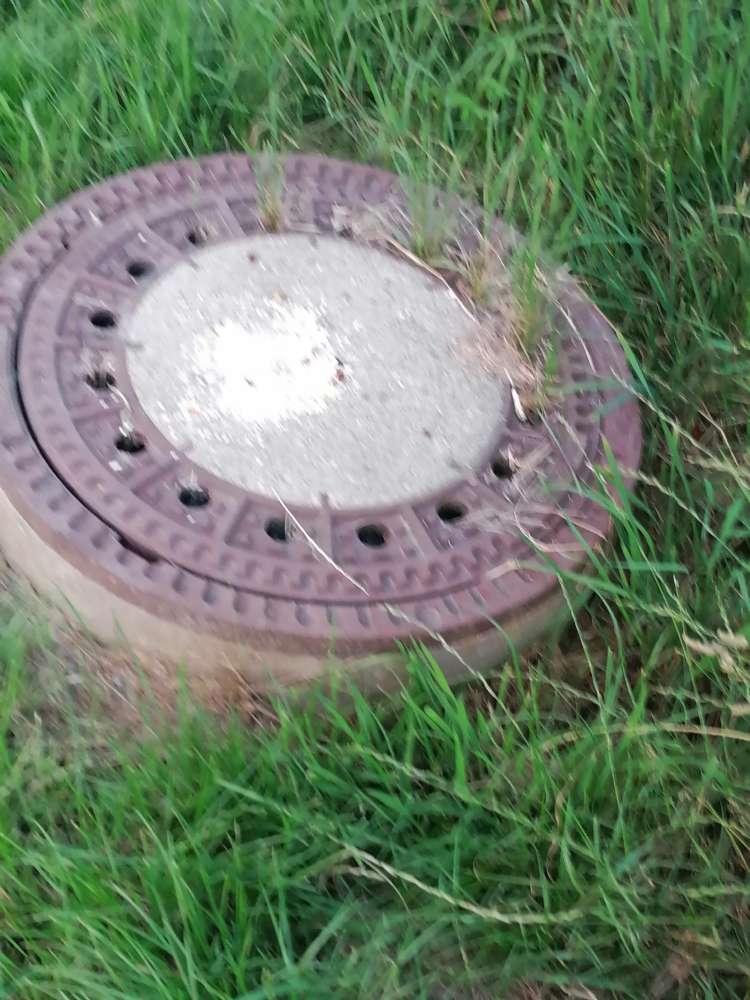 Giftköder-Möglicher Giftköder-Profilbild