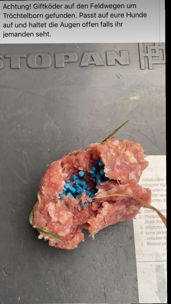 Giftköder-Giftköder!-Profilbild