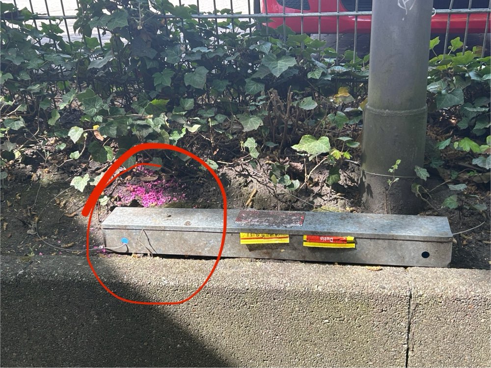 Giftköder-Rattengift verteilt-Profilbild