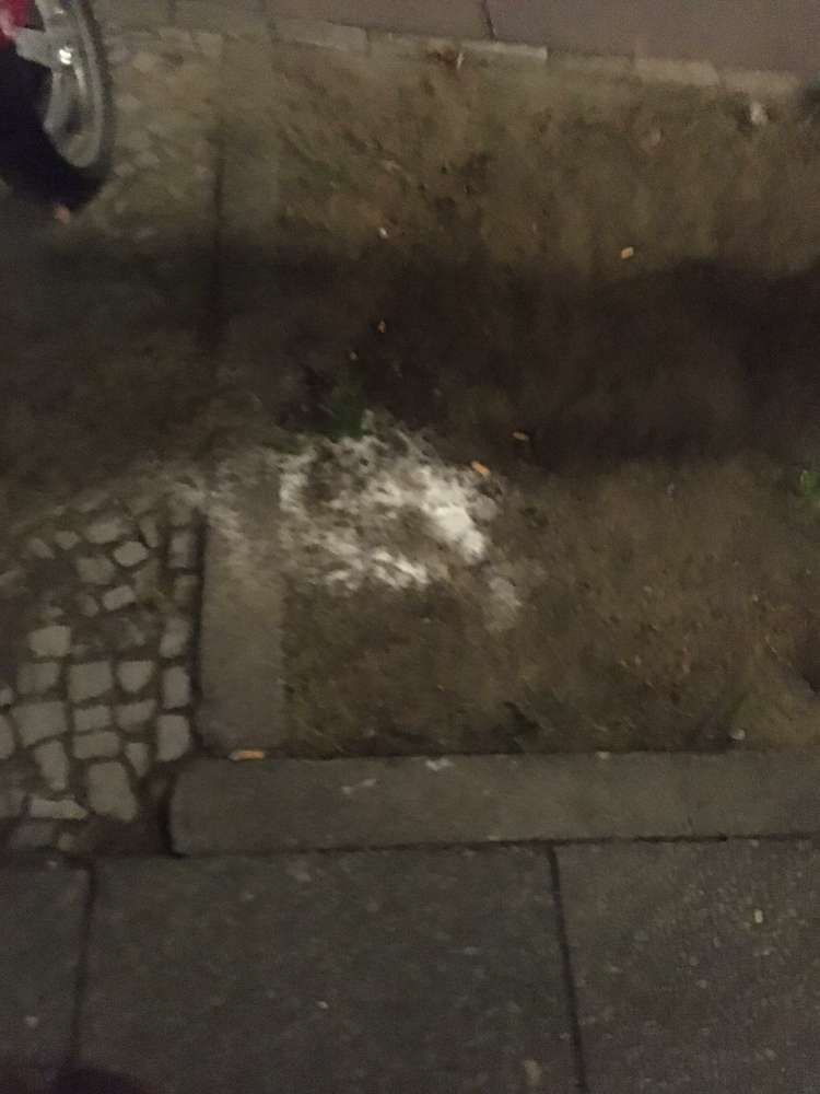 Giftköder-Weißes Pulver-Profilbild