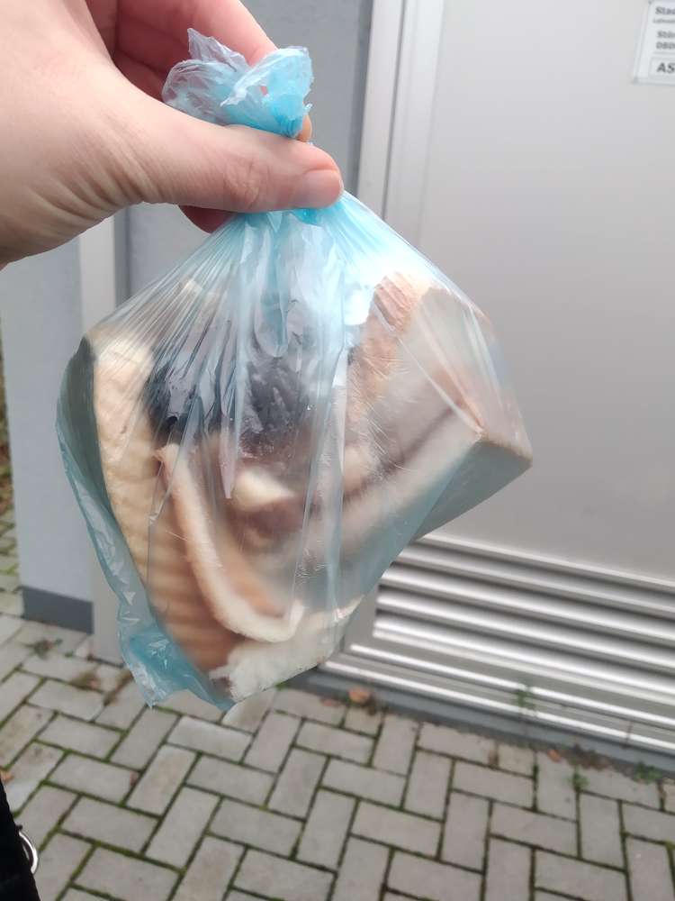 Giftköder-Nutellabrote und anderes auf Grünflächen-Profilbild