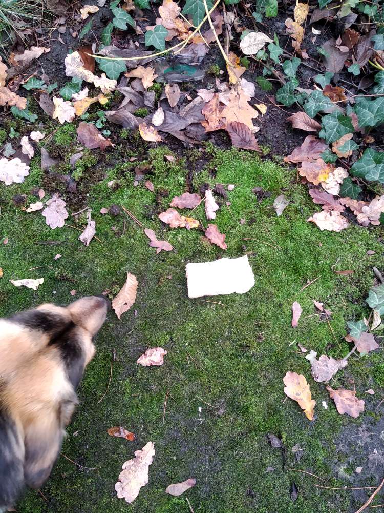 Giftköder-Nutellabrote-Profilbild