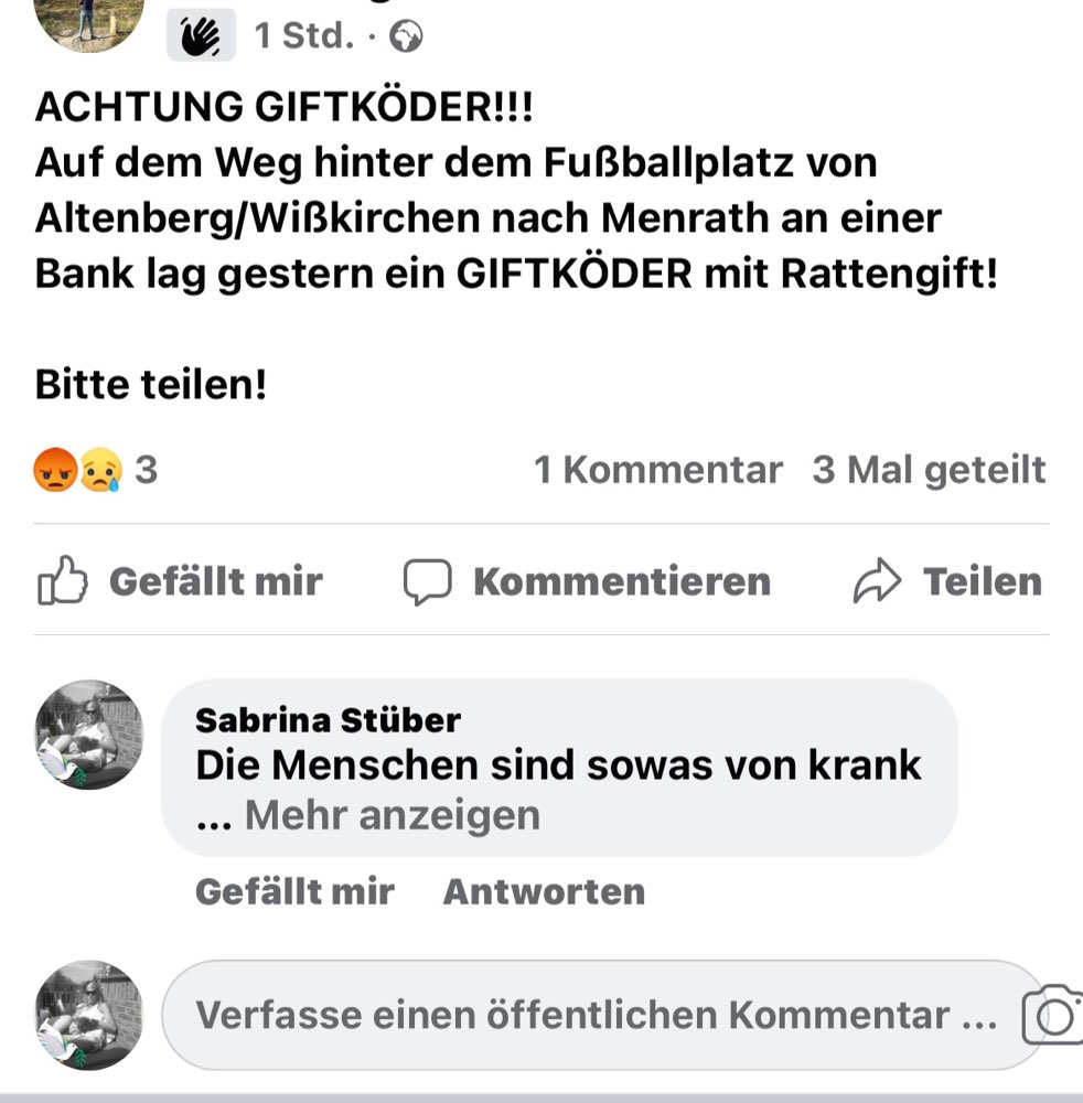 Giftköder-Giftköder mit Rattengift-Profilbild